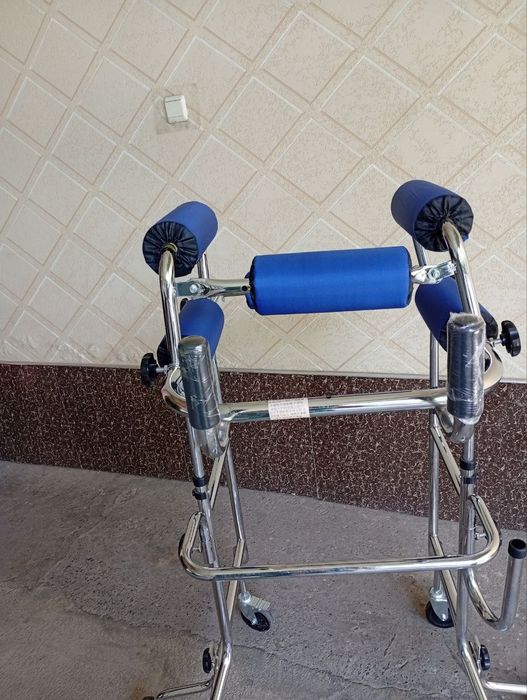 Xadinok DTS borlar uchun kattalar uchun