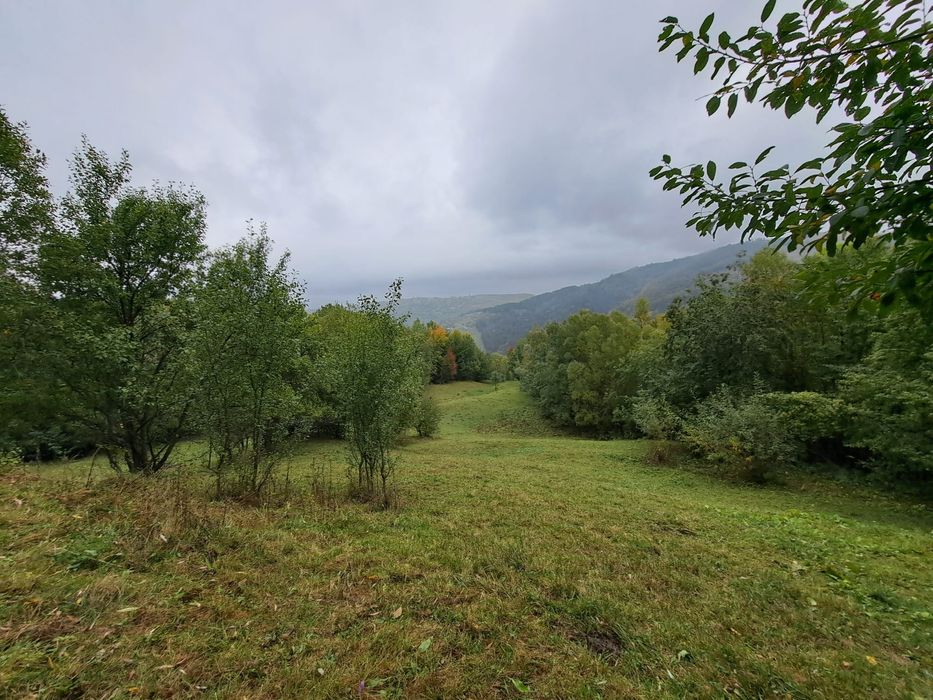 Teren de vanzare Secaria Valea Prahovei(Valea Doftanei, Comarnic)