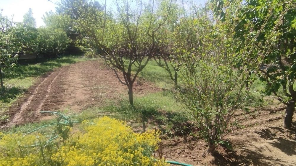 Продается Земля. Хасанбой Кенсой