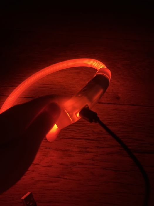 Свитящайся ошейник для собак