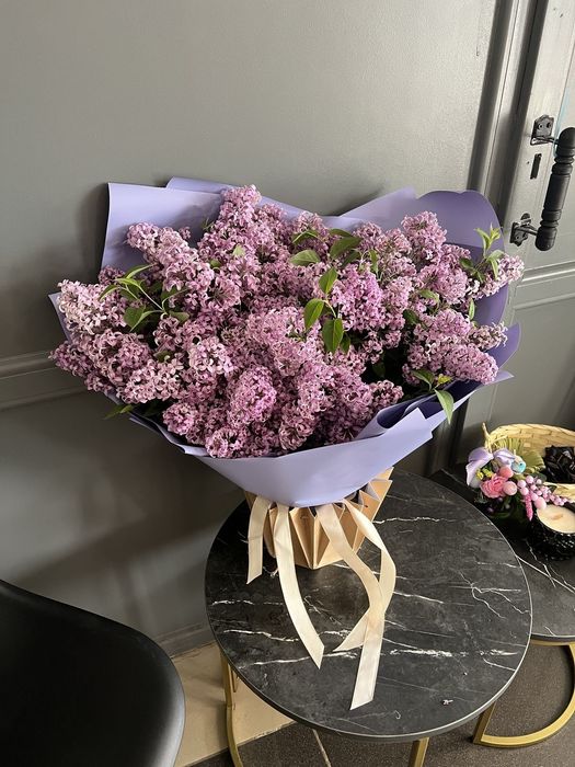 Сирень Астана в наличии