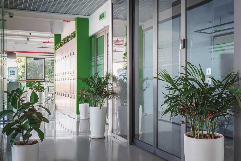 Ofis IT kompniyaga arendaga beriladi