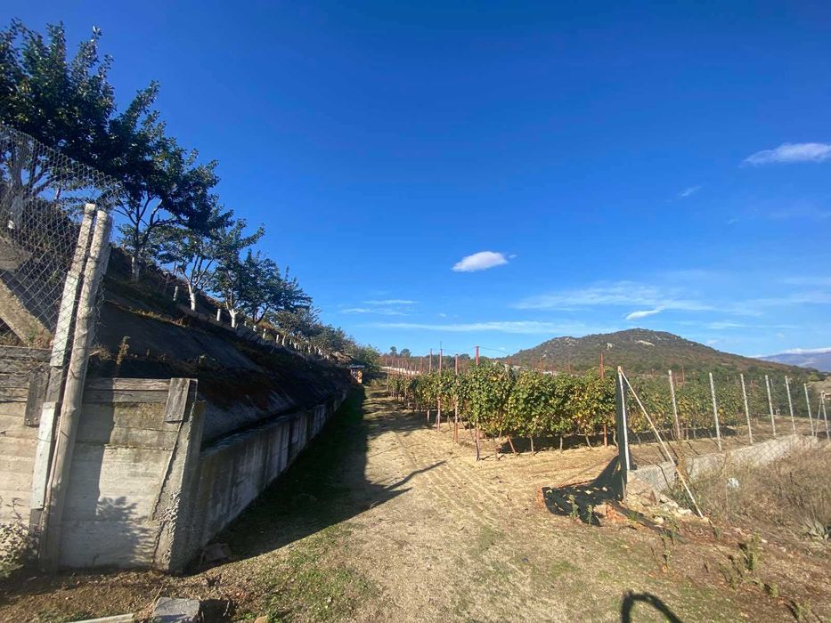 ПАРЦЕЛ 7,2 дка, село Бегунци