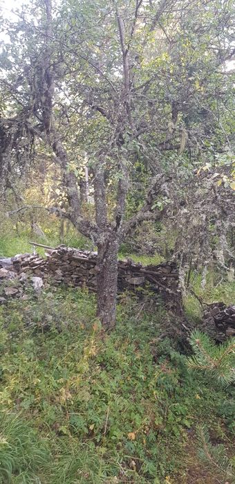 Продава се Парцел в Пловдив, Кючук Париж - 300 кв.м за 42 €/кв.м - Снимка #4