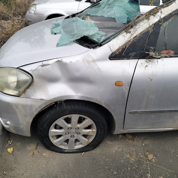 Сатылады торг бар