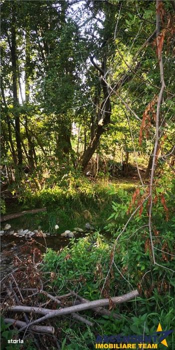 FILM! Constructie rustica tip Casa Verde, cu parau si panorama impresi