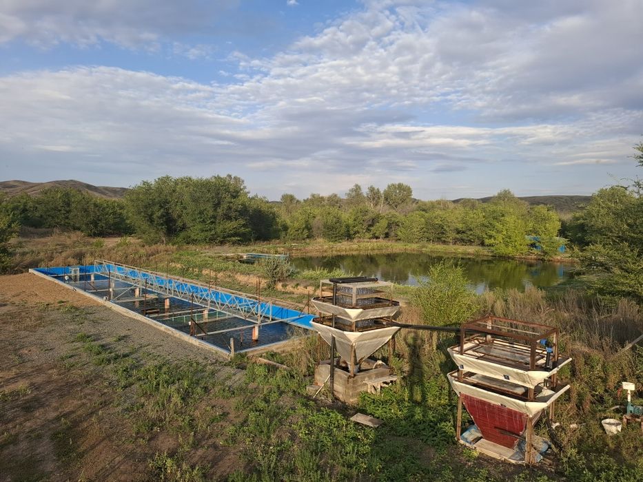 Продам действующее форелевое хозяйство