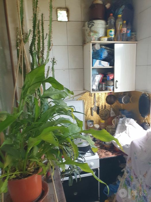 Продается чиланзар 12квл,1 комнатная