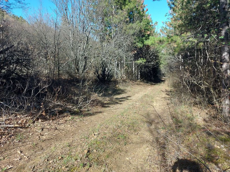 Продава се Парцел в с. Малка Верея, Област Стара Загора - 1333 кв.м за 4 €/кв.м - Снимка #5