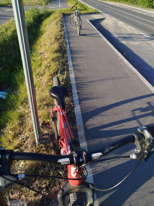 Bicicleta Carpat Montana
