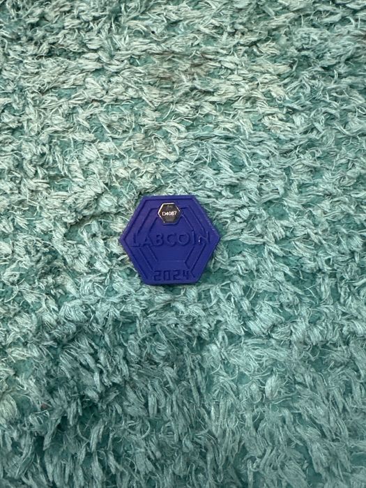 Лабкойн 2024 година