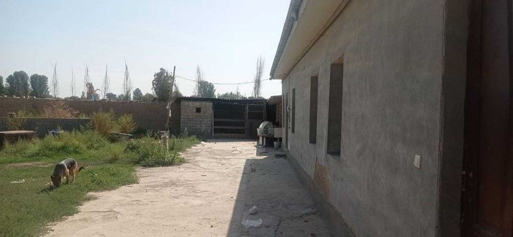 уй Янгийул Кора тепа 15 сотих +ферма