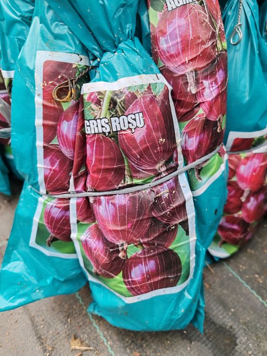 butasi de fructe de padure ambalati si etichetati