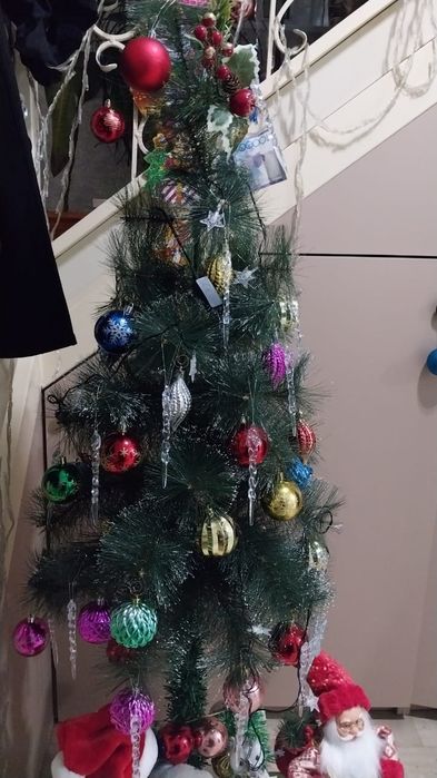 Ёлка           .