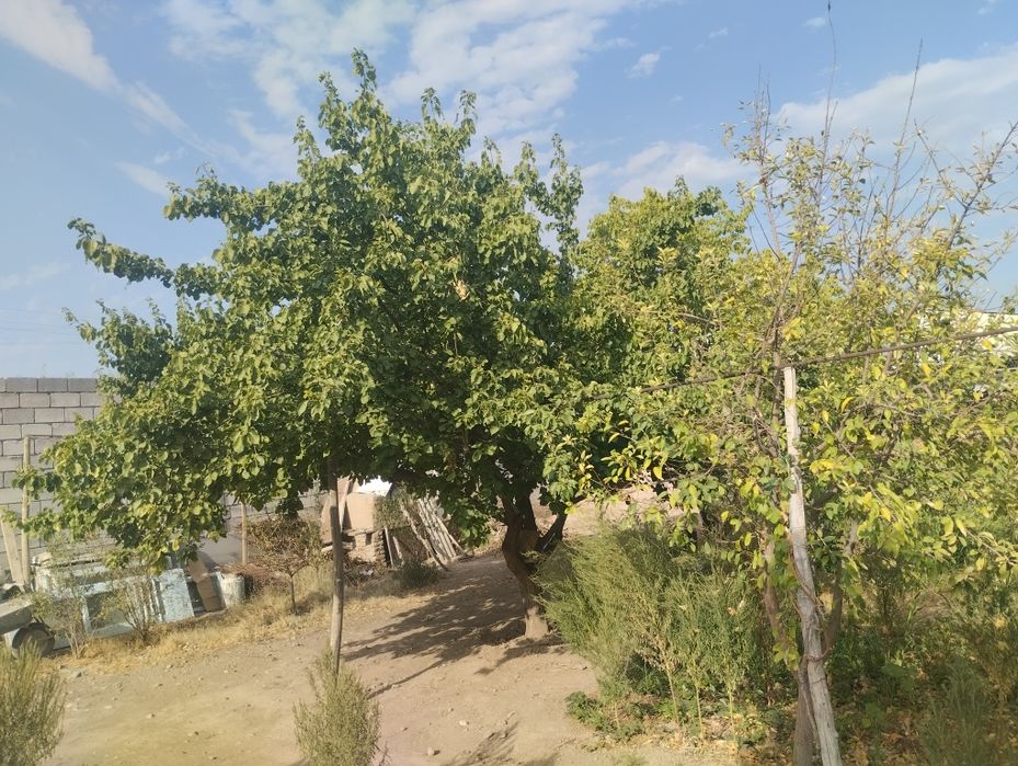 4,5 сотих йер сотилади