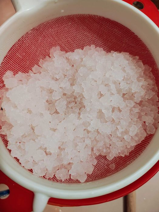Ciuperca kefir lapte chefir apa Scoby