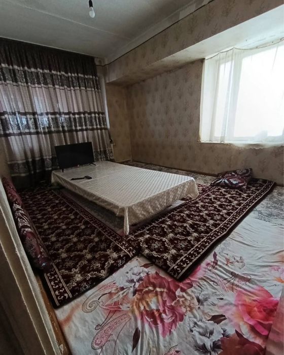 N6843 Olmazor tumani Qora qamish 2/4.   2/4/4