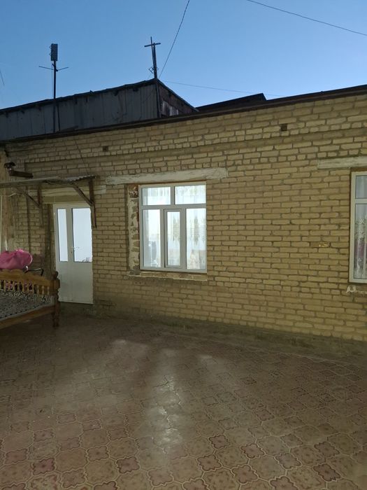 Hovli arentir infiksoniy balnotsa