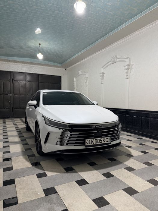 BYD chazor flagship 120 km