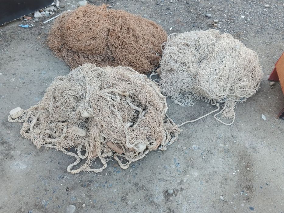 Балик тур сотилади