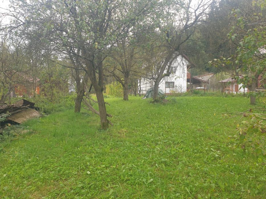 Vand teren si casa veche in viseu de jos