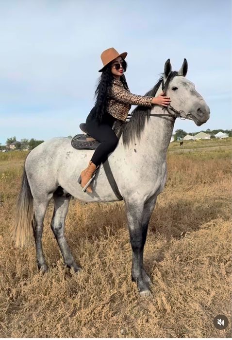 Англо-рысак айгыр