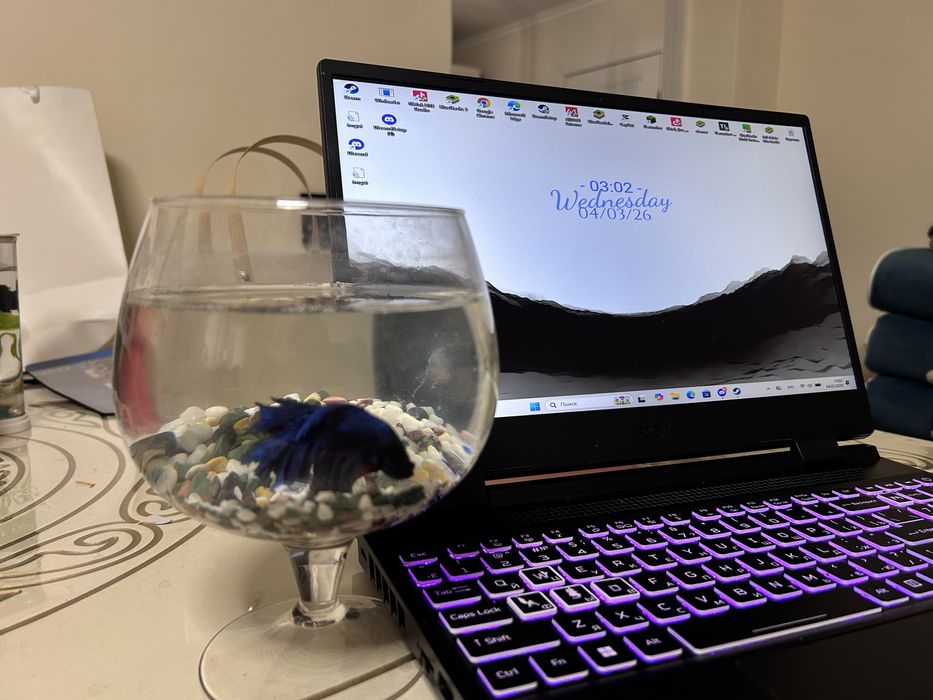 Acer nitro 4050 i5 13