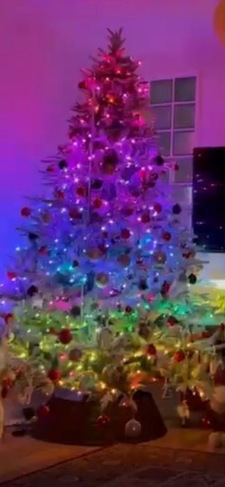 Новогодняя  Елка