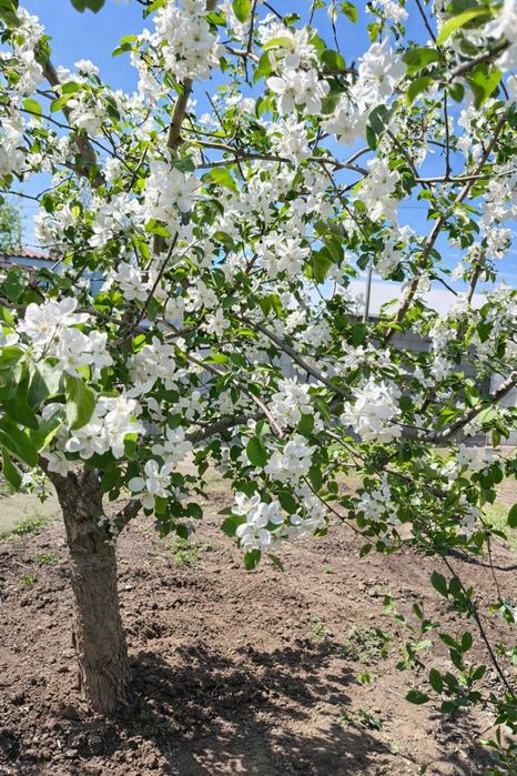 Продается частный дом