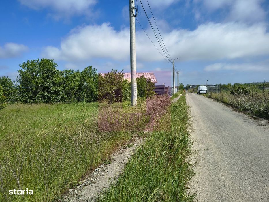 Teren intravilan 1 Decembrie – loturi 600–720 mp + cotă drum Utilitati