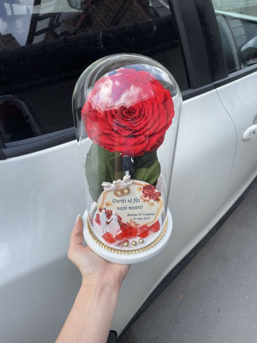 Trandafir nemuritor in cupola de sticla