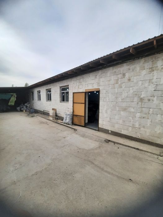 Участка.  ЦЕХ . Молхона