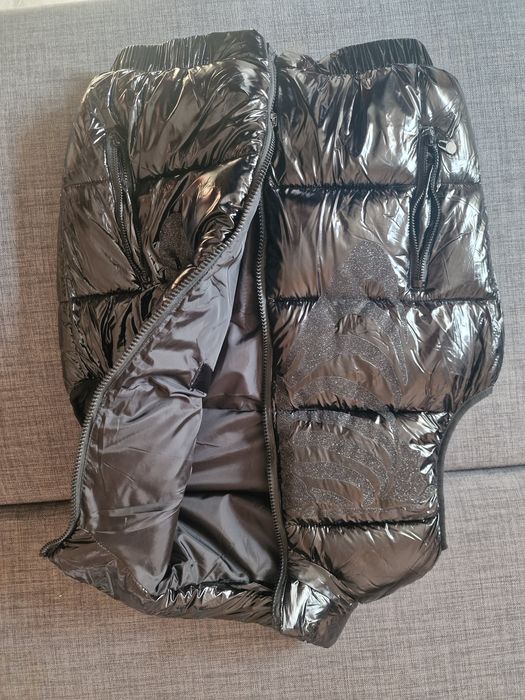 Vesta lucioasa skeleton