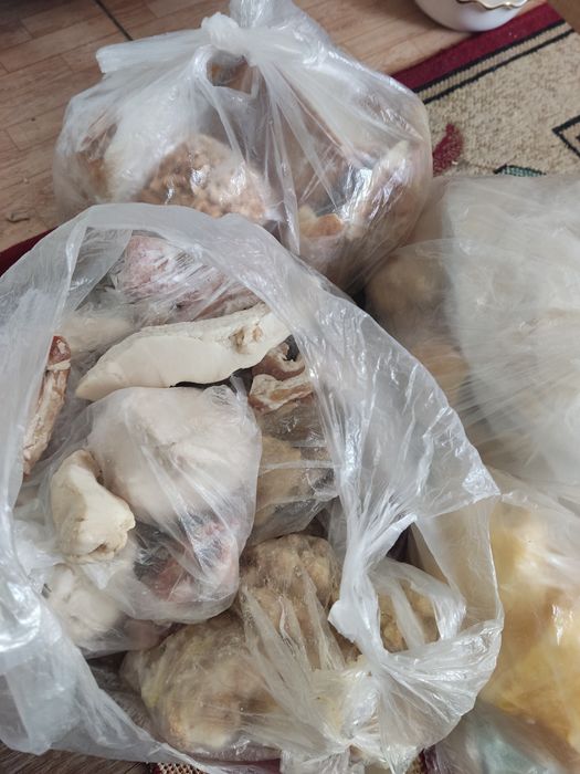 Остатки для собак, итке қалдықтар