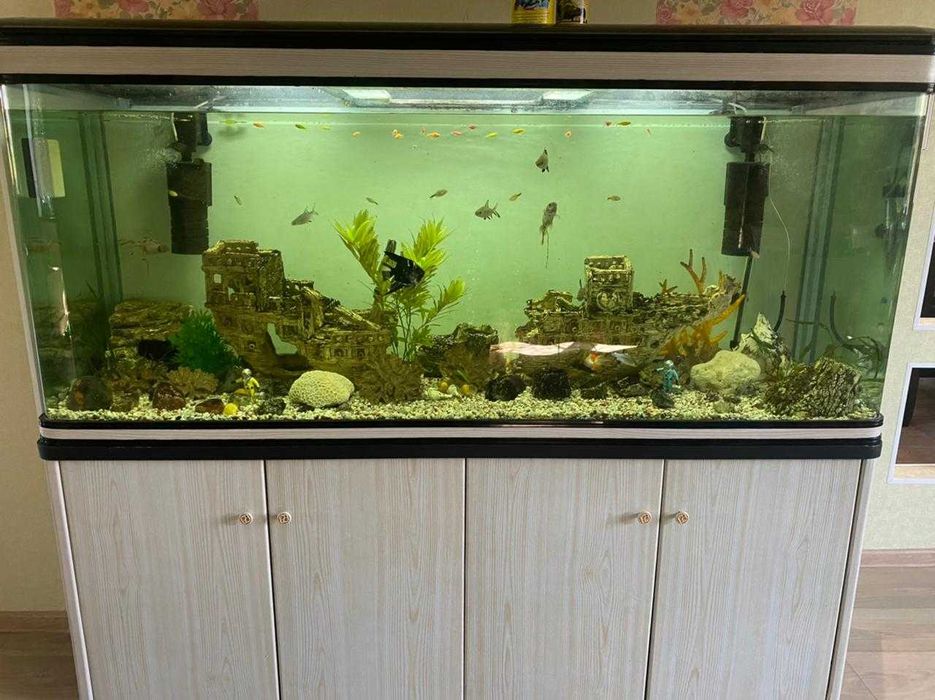 Чистка аквариумов