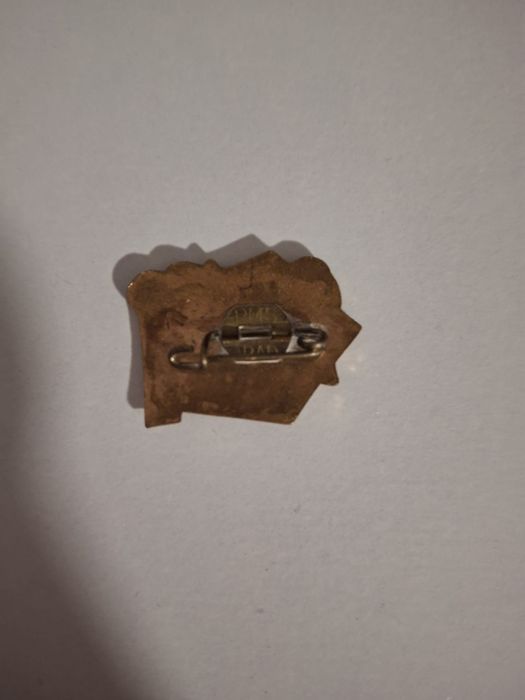 Insigna Pionieri