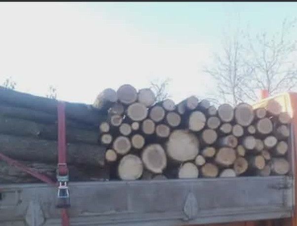 Lemn de foc esență tare