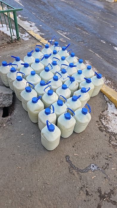 Продам Баянский кымыз( кумыс)