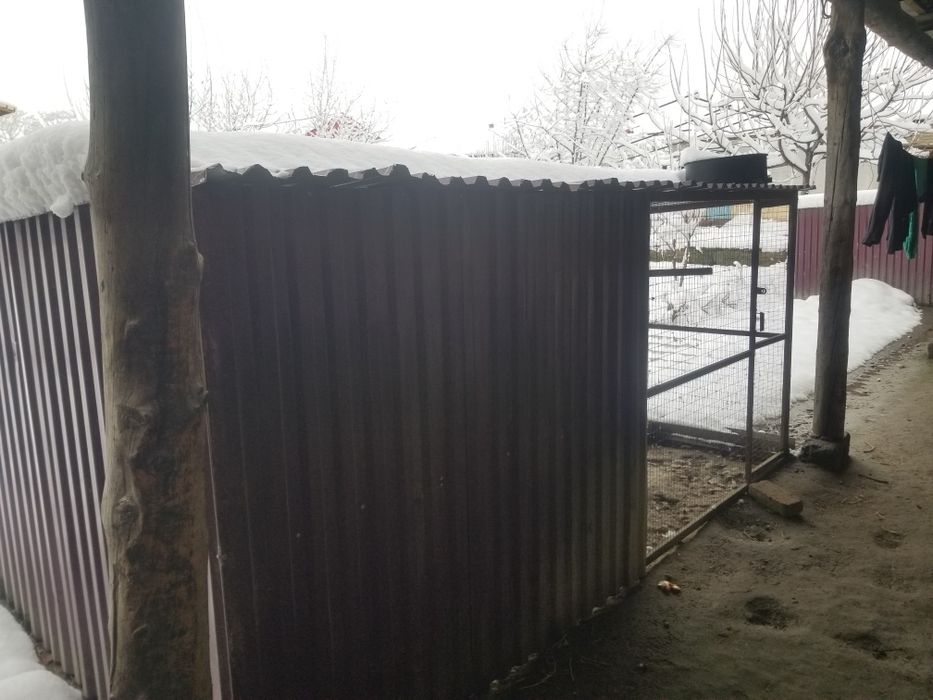 Kafolati bilan sotiladi