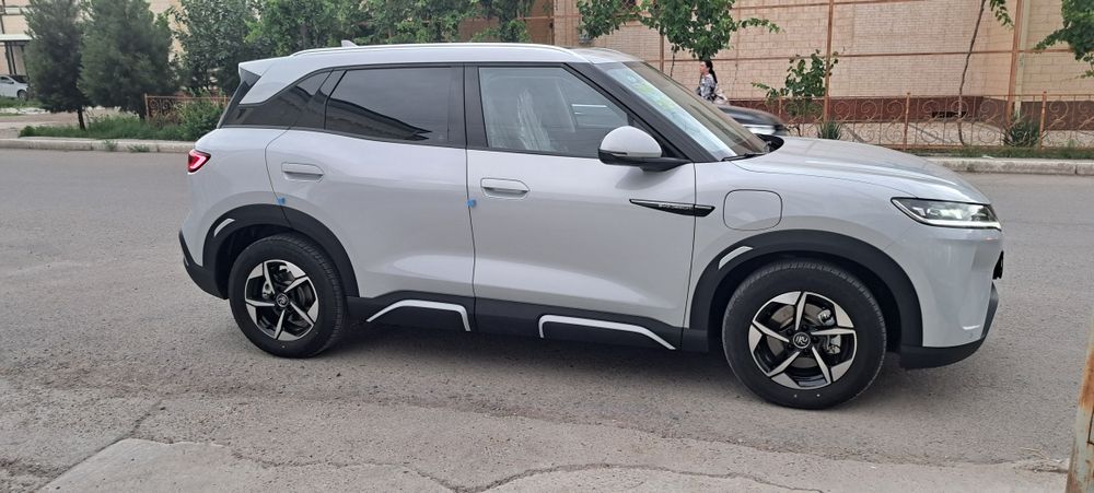 Bvd yuan ap 2024 Ev 401 km.