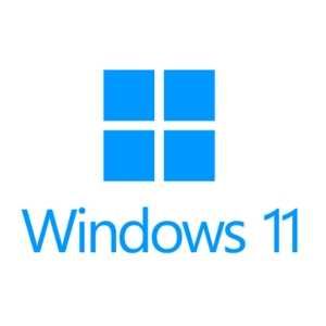 Instalare Windows 11, 10