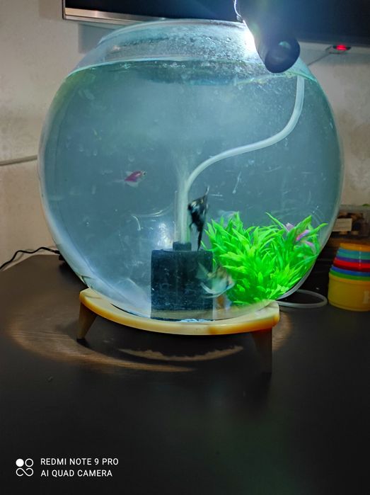 Аквариум Круглый