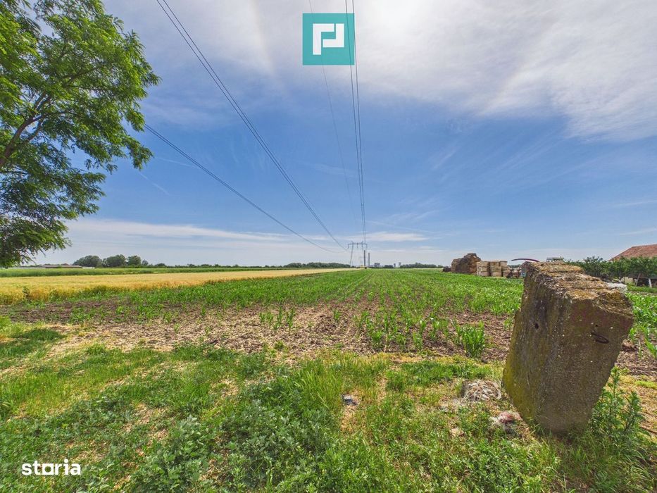 Teren extravilan 5000 mp, Arad