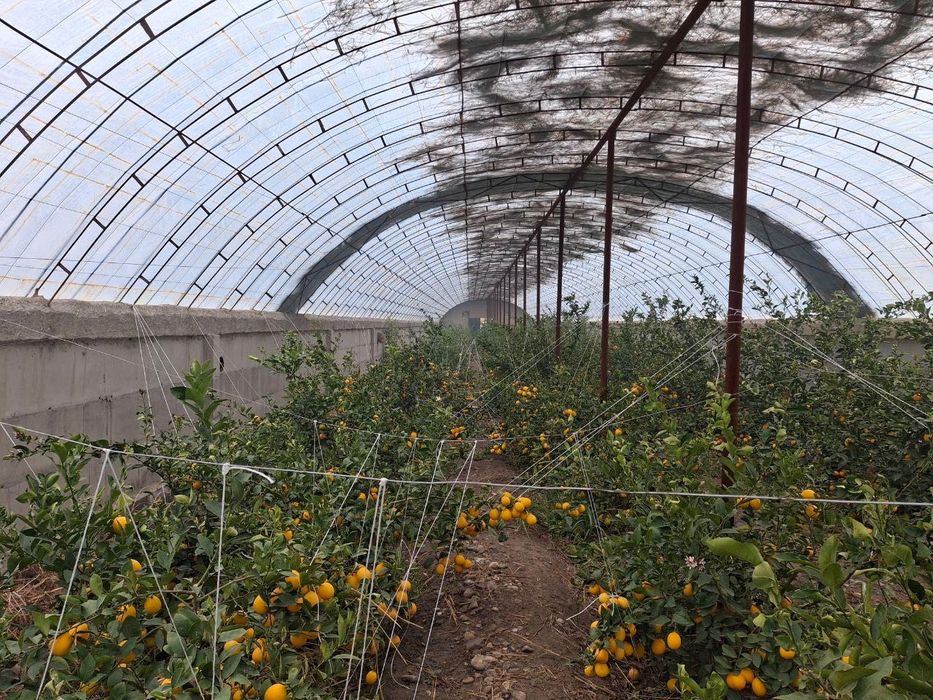 FARG’ONA , Rishton Tumanida tayyor biznes arzon narxda sotiladi .