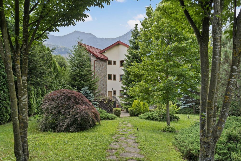 Direct Proprietar Terenuri Construibile Penteu Case De Vacanță de Vanzare Sinaia-Busteni 2200 mp Vedere Panoramică neperturbată