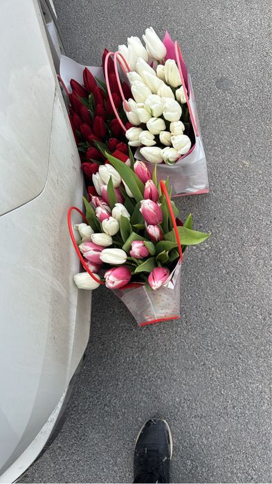 Тюльпаны по 700 тг