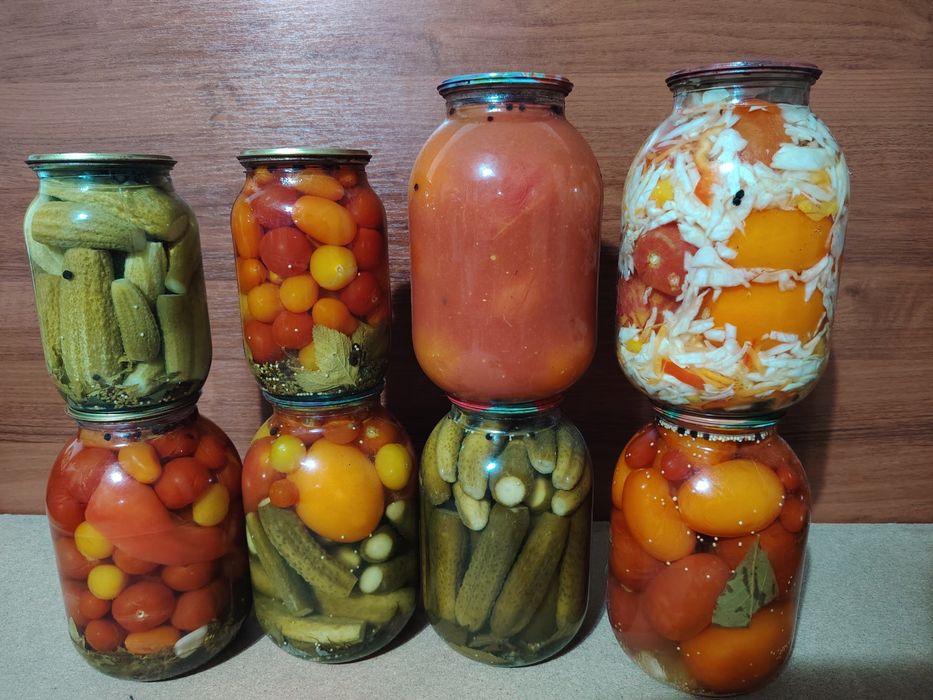 Солонина 2025 год