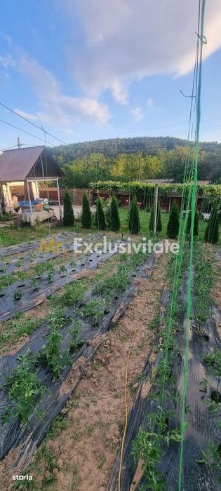 Casă P+M cu 1.558 mp teren, livadă și garaj