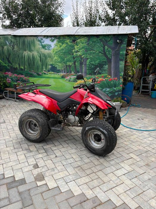 ATV Derbi 250 cm, 2 cilindri in 4 timpi
