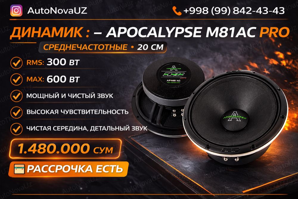 Nasiya | Apocalypse M81AC PRO 20см среднечас динамики 300Вт Рассрочка